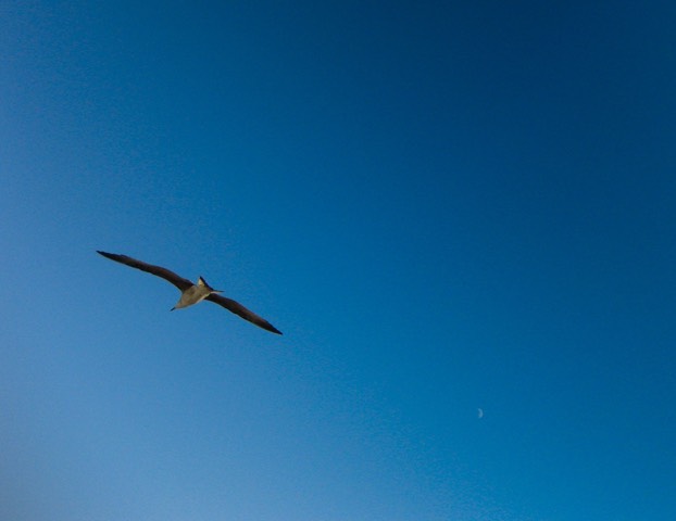a1-12-2011 (5)