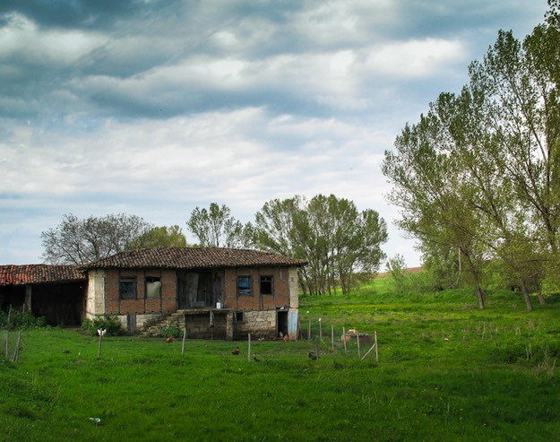 IMG 0311-Edit