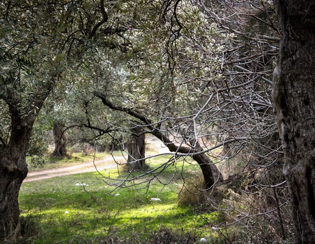 pano3