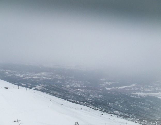 IMG 0337