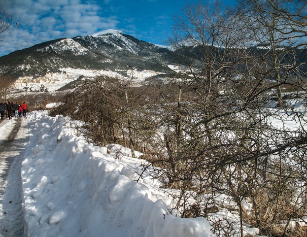 IMG 0448