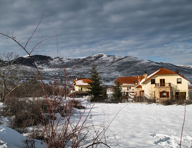 IMG 0453