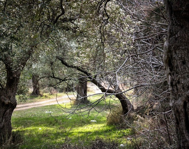 pano3